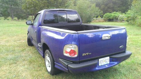 2003 Ford F-150 - This 2003 Ford F-150 SVT Lightning pickup truck is shown from the rear in a grassy outdoor setting.