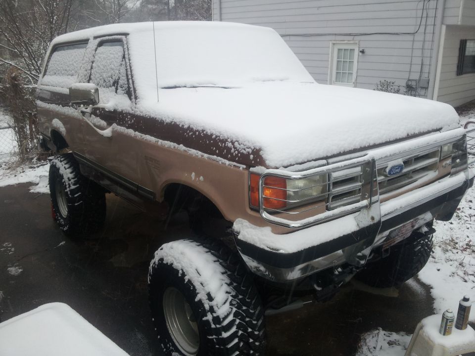 1986 Ford Bronco “random”