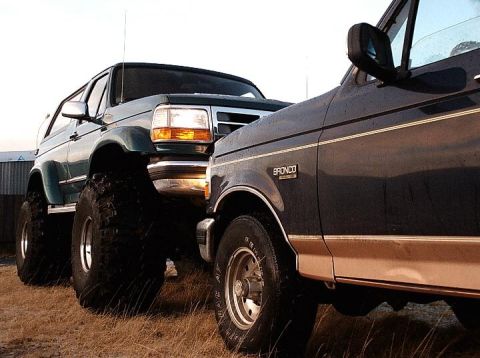 1996 Ford Bronco - Two Ford Broncos, one dark green and one dark blue, are parked side-by-side in a grassy field.