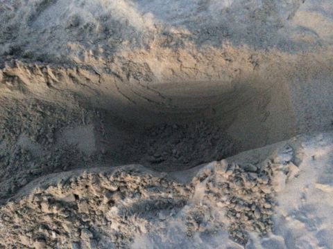 1992 Ford Bronco - Tire tracks are visible in the sand, indicating a vehicle has passed through the area.