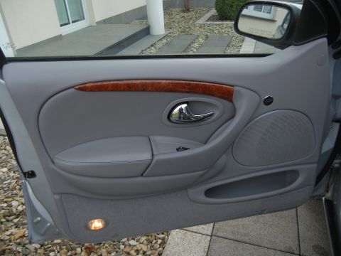 1999 Ford Fairlane - Close-up of a car's interior door panel, showing details like the door handle and speaker cover.