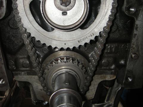1972 Ford Ranchero - Close-up view of engine timing components, including a chain and sprockets.