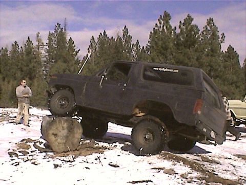 1981 Ford Bronco photo