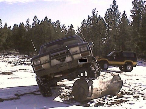 1981 Ford Bronco photo