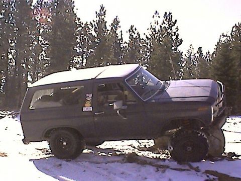 1981 Ford Bronco photo