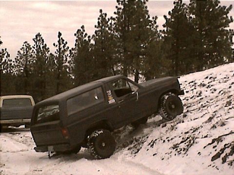 1981 Ford Bronco photo