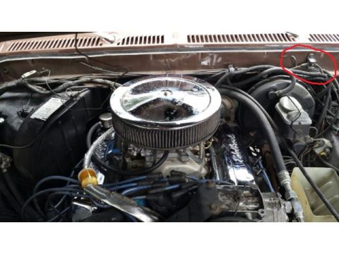 1979 Ford F-150 - Engine bay of a 1979 Ford F-150 shows a chrome air cleaner and brown exterior paint.