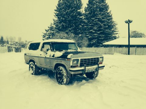 1979 Ford Bronco photo