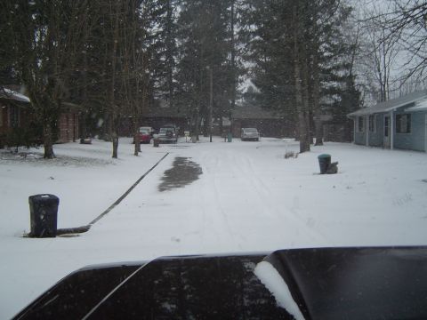 1989 Ford Bronco - My street