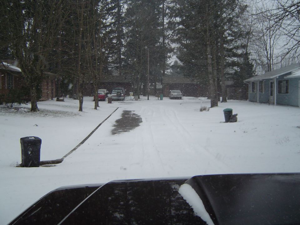 Snow-covered residential yards and shared driveway shot over a dark vehicle hood