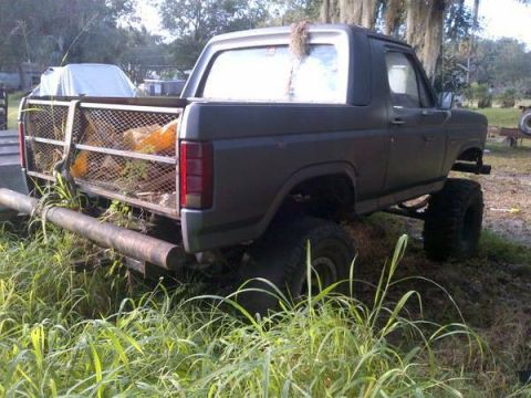 2007 Ford F-250 - Modified pickup truck with a custom bed cage and lifted suspension sits in overgrown grass.