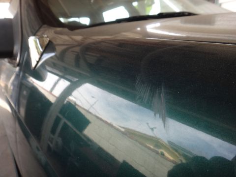 1993 Ford Taurus - Deep scratches are visible on the side of a green car door.