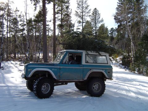 1970 Ford Bronco - the Bronco retrieves a Christmas tree