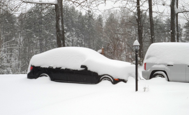 Two cars are buried in snow, with trees and a lamp post visible in the background