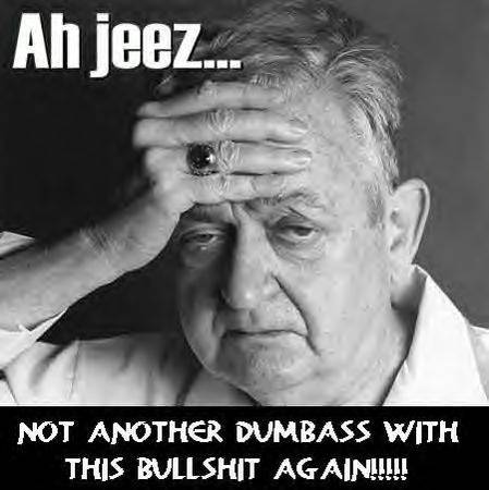 2002 Volkswagen Jetta - A man holds his hand to his forehead with text that reads "Ah jeez..." above him.