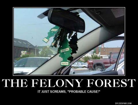2003 Ford Crown Victoria - Interior view of a car showing numerous air fresheners hanging from the rearview mirror.