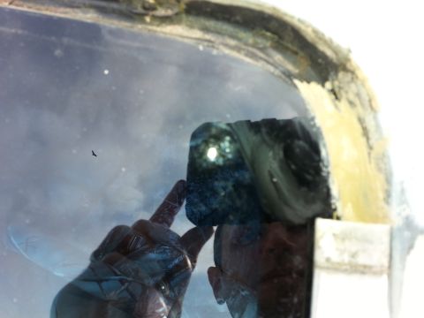 1992 Ford Bronco - A person's reflection is visible in the windshield, with a bird seen in the sky outside.