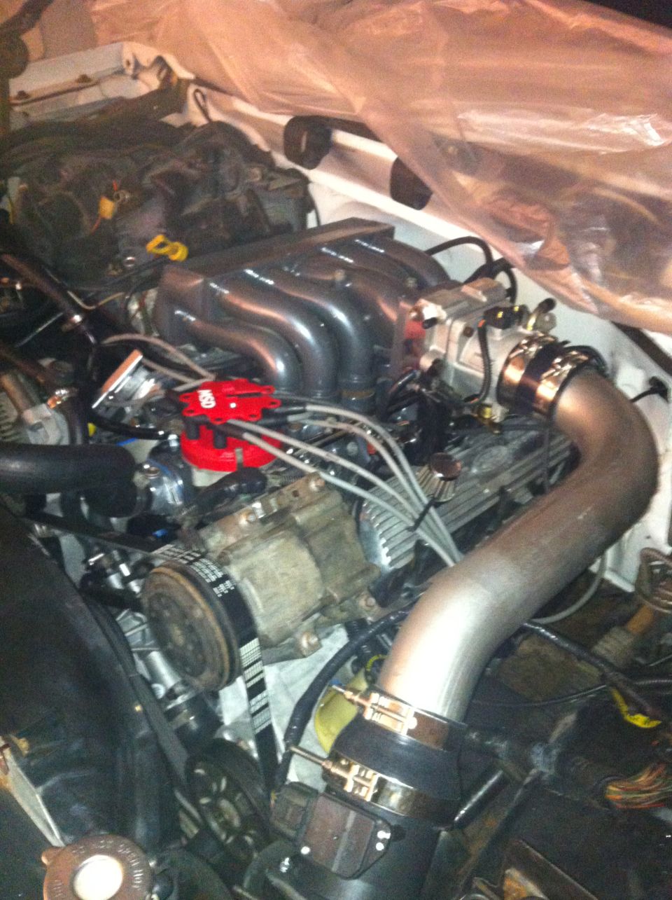 Close-up of a Ford V8 engine, likely a 351W, with a shiny aftermarket intake manifold and red distributor cap
