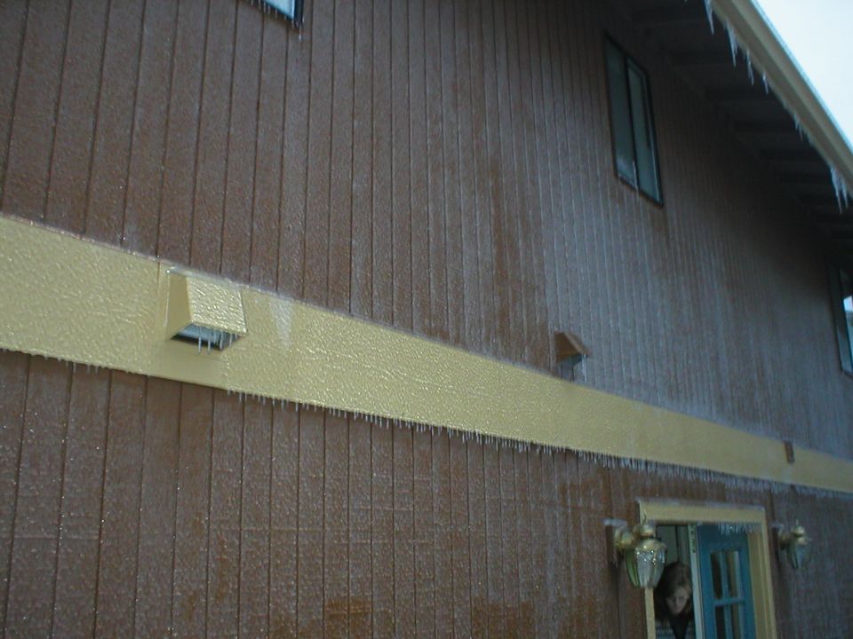 The entire back of my house is glazed in ice.