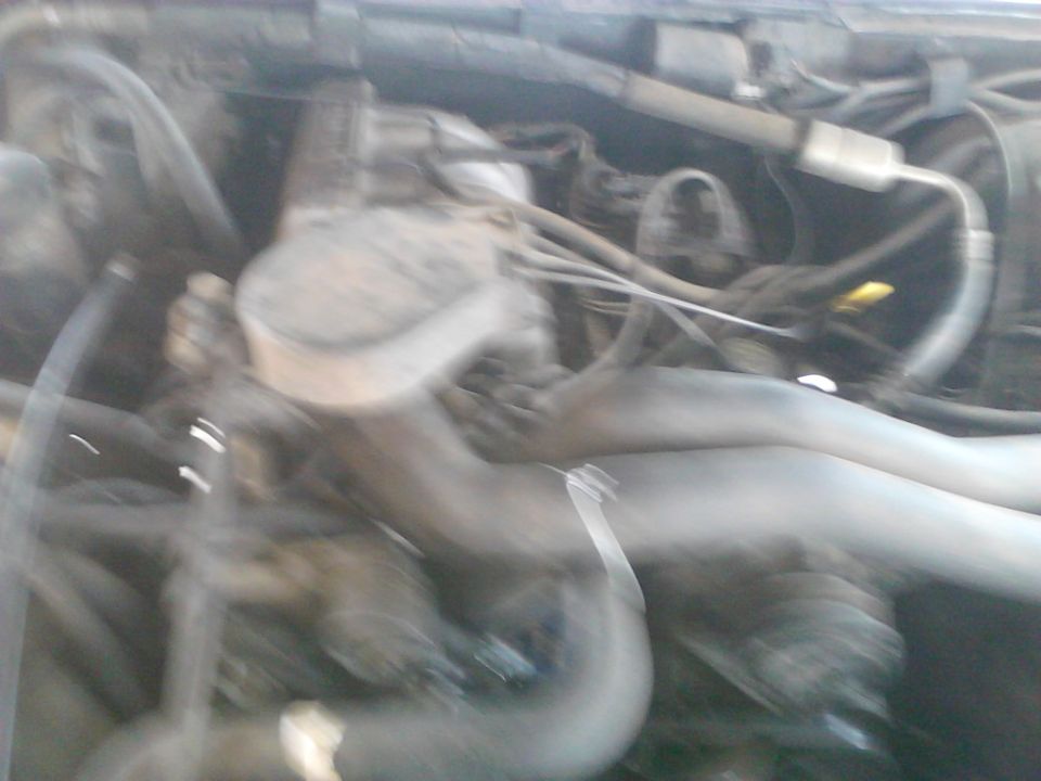 Engine bay with hoses and wiring visible