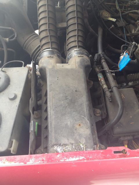 1993 Ford Bronco - Close-up view of the engine's air intake assembly, dual ribbed hoses and associated wiring.