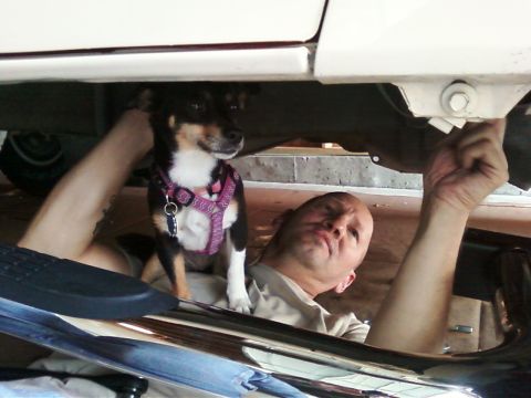 1992 Ford Bronco - My dog Pip helping me install nerf bars.