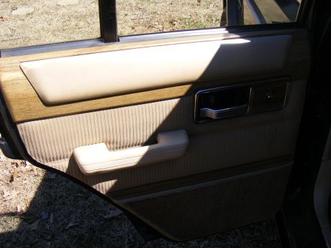 Interior door panel with tan fabric, wood trim, and chrome door handle