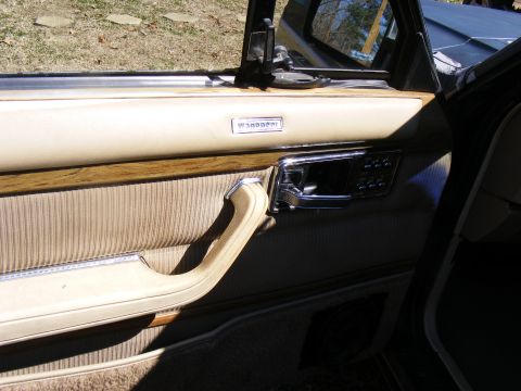 Wagoneer badge on beige door panel with wood trim and chrome handle