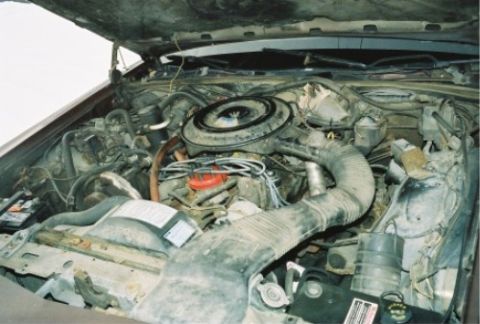 1984 Mercury Grand Marquis - The engine bay of a vehicle is shown with the hood open, revealing various mechanical parts and hoses.