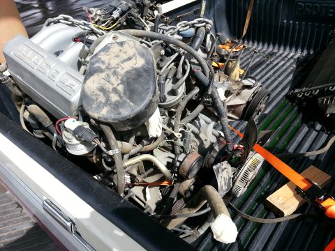 1989 Ford F-150 - A Ford 351W engine is loaded into the bed of a pickup truck, secured with chains and straps.