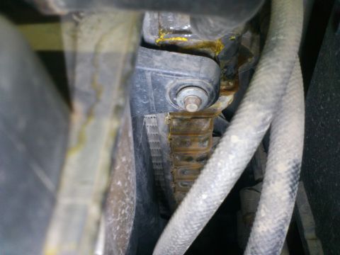 1998 Ford Crown Victoria - Radiator fins and hoses are visible, with some yellow residue indicating a leak.