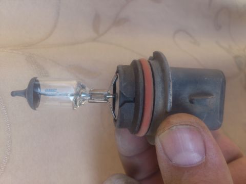 1998 Ford Crown Victoria - Close-up of a halogen headlight bulb, showing the glass envelope and socket with a red seal.