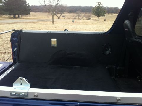 1982 Ford Bronco - The interior of a blue SUV's cargo area is shown, with black carpeting and a speaker visible on the side.
