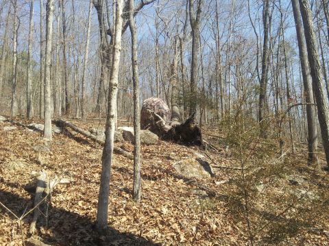 1986 Ford Bronco - A camouflage hunting blind is situated on a rocky, wooded slope covered in fallen leaves.