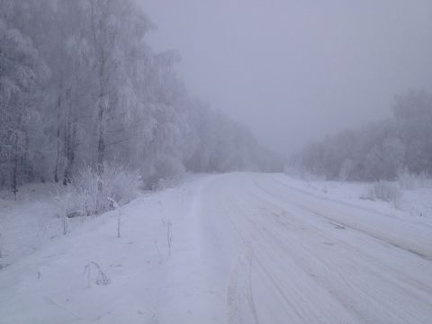 1987 Ford Bronco - A snowy road cuts through a forest where trees are heavily frosted.