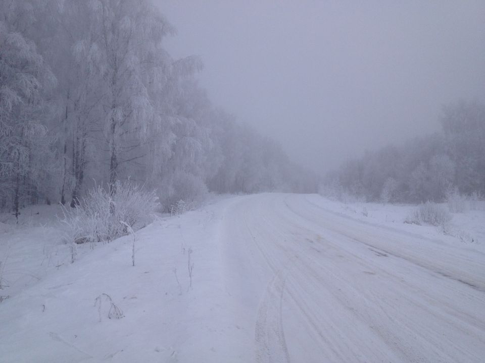 snowy road winding through a forest with trees covered in frost