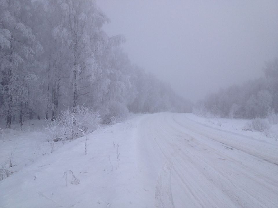 snowy road with frosted trees on the side, overcast sky