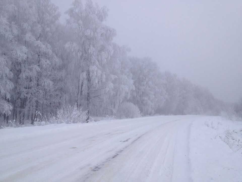 snowy road with trees covered in frost on the side