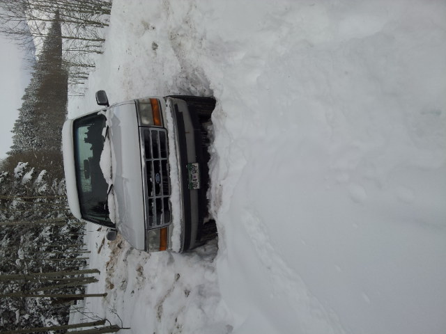 1995 Ford Bronco “XLT”