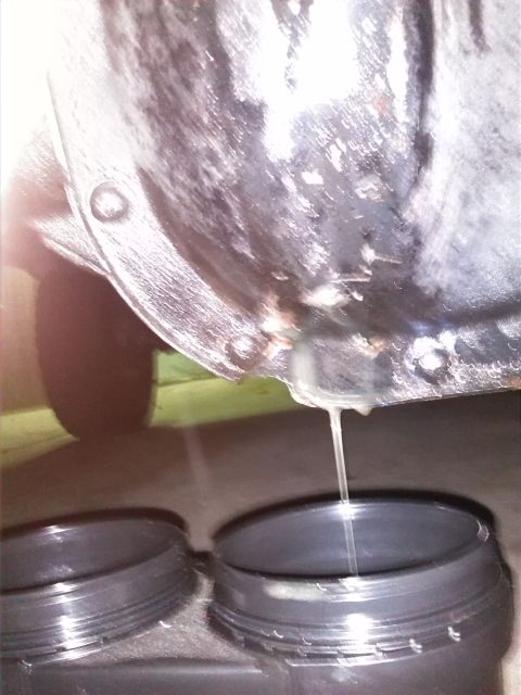 1992 Ford Bronco - Differential fluid is being drained from a vehicle's rear end into a collection pan.