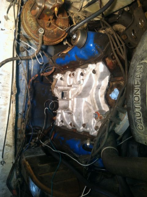 1979 Ford Bronco - Close-up of a V8 engine in an engine bay, with visible wiring and parts.