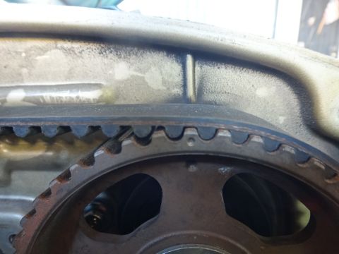 1993 Ford Taurus - A close-up view shows a vehicle's timing belt engaged with a toothed gear within the engine compartment.