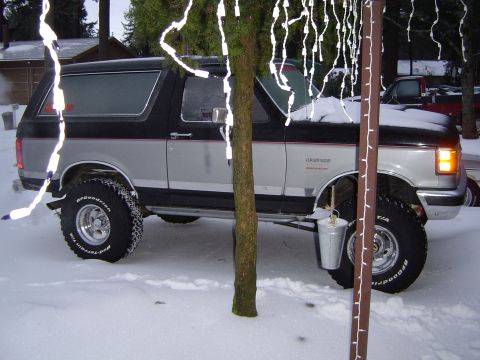 1989 Ford Bronco - Woke up to very Icy bronco