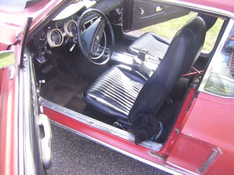 1968 Ford Mustang - The interior of a red 1968 Ford Mustang shows its dashboard, seats, and a dog resting inside.