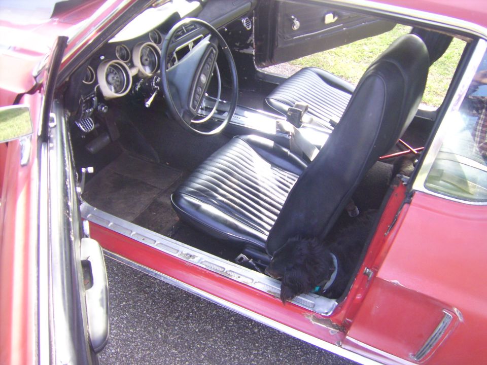 1968 Ford Mustang interior with black seats, dashboard gauges, and a black dog in the passenger seat