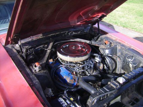 1968 Ford Mustang - The engine bay of a red vehicle is shown with the hood open, revealing the V8 engine and surrounding components.