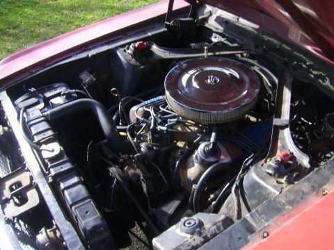 1968 Ford Mustang photo