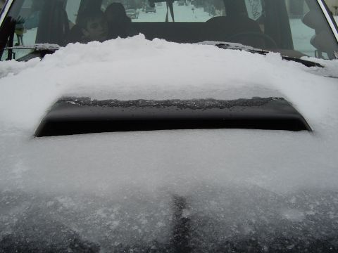 1989 Ford Bronco - Some funky pics