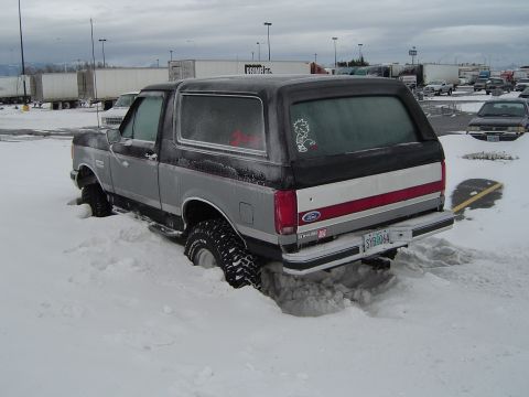 1989 Ford Bronco - Yup, stuck