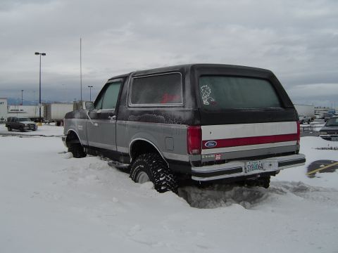 1989 Ford Bronco - Again